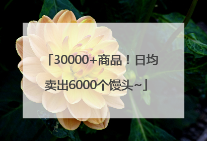 30000+商品！日均卖出6000个馒头~