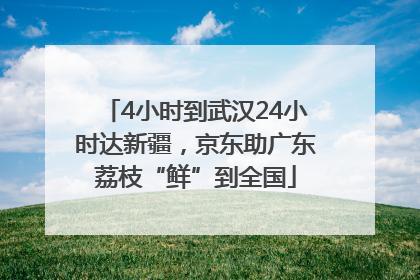 4小时到武汉24小时达新疆，京东助广东荔枝“鲜”到全国