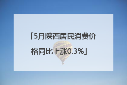 5月陕西居民消费价格同比上涨0.3%