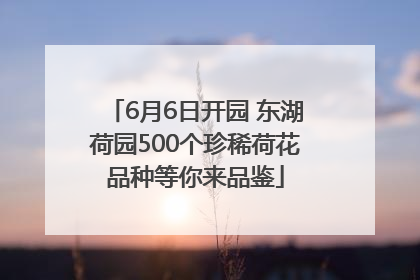6月6日开园 东湖荷园500个珍稀荷花品种等你来品鉴