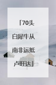 70头白犀牛从南非运抵卢旺达