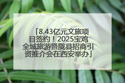 8.43亿元文旅项目签约！2025宝鸡全域旅游暨陇县招商引资推介会在西安举办