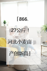 866.27公斤！河北小麦亩产创新高