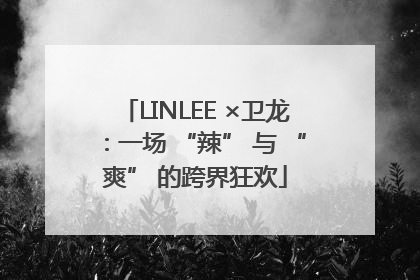 LINLEE ×卫龙：一场 “辣” 与 “爽” 的跨界狂欢