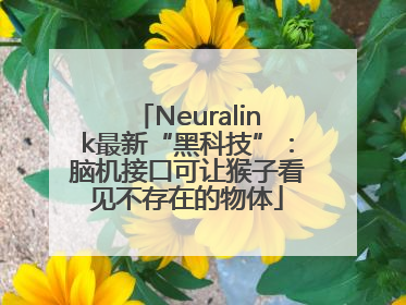 Neuralink最新“黑科技”：脑机接口可让猴子看见不存在的物体